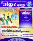 Ankur Salt